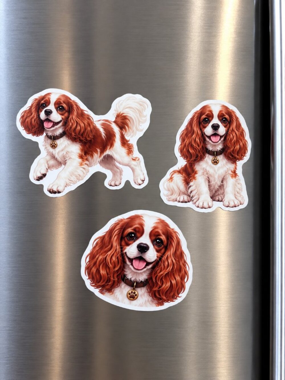 3 Girl Cavalier King Charles Spaniel Dog Fridge Magnets Blenheim Puppy Set